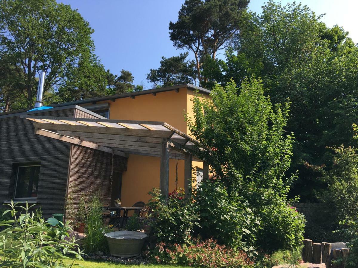 Fewo Am Strand In Koserow - Casa Del Mar - 42M Bis Zum Strand Exteriör bild